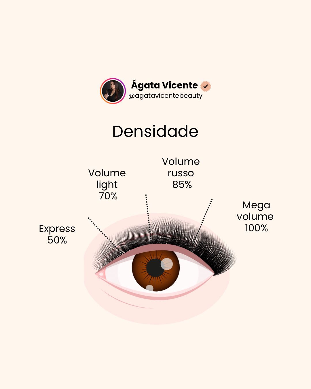 Capa: Pack Lash — Conteúdos Didáticos e Ilustrativos
